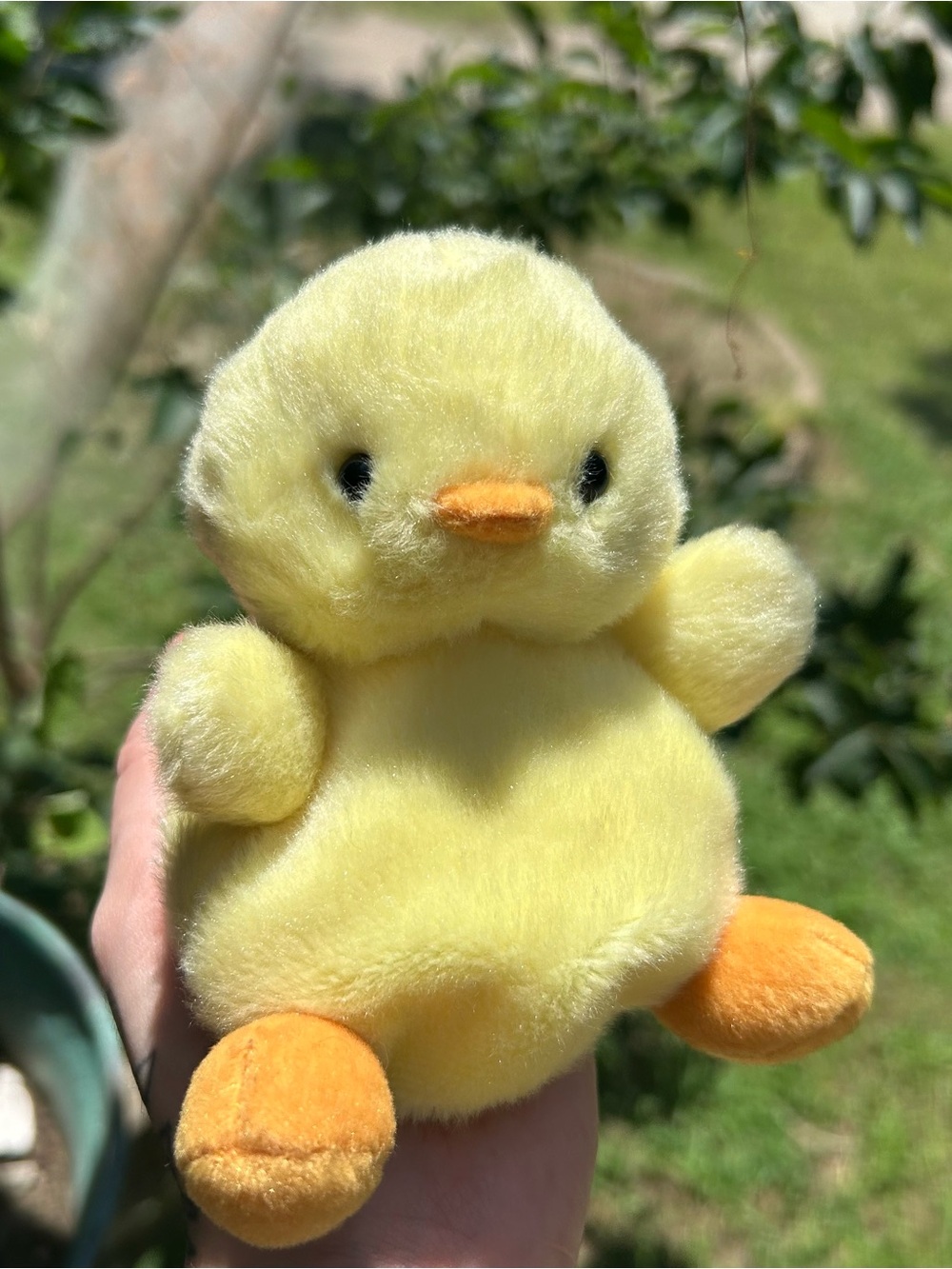 Baby Chick Palm Pal